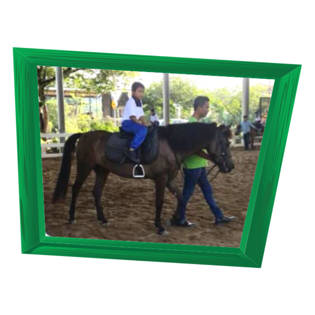 ACTIVITY 2