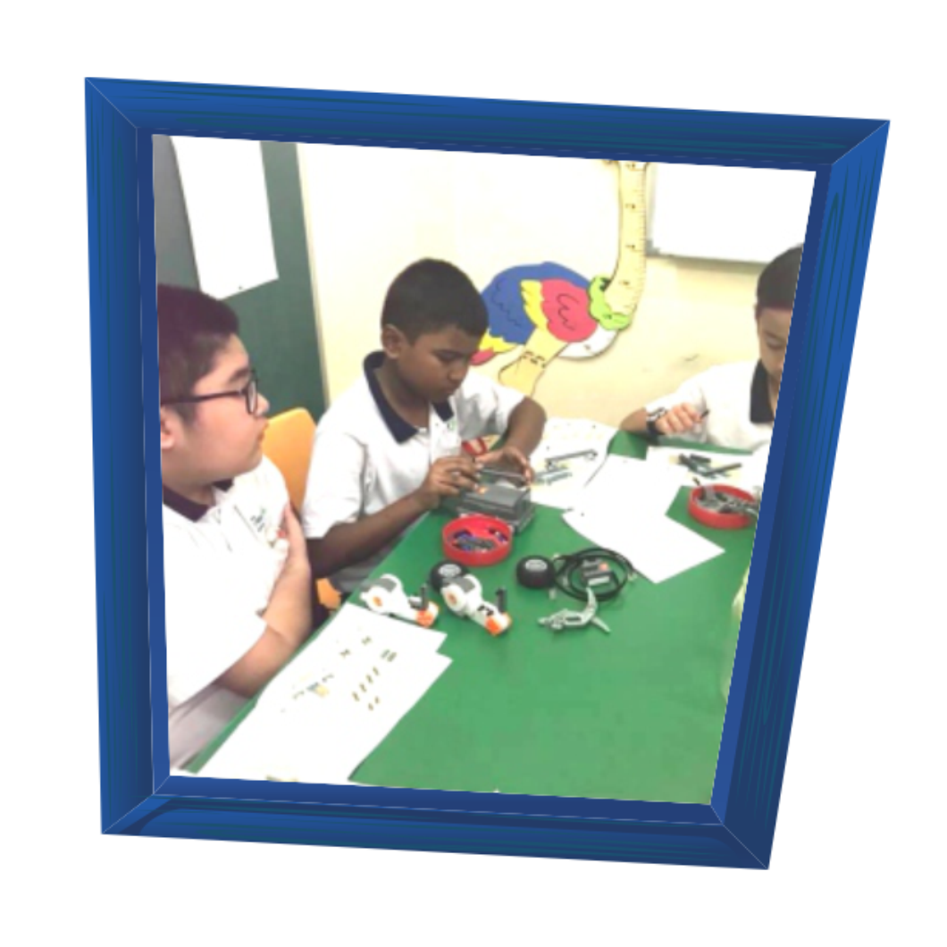 ACTIVITY 7